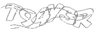 Check code